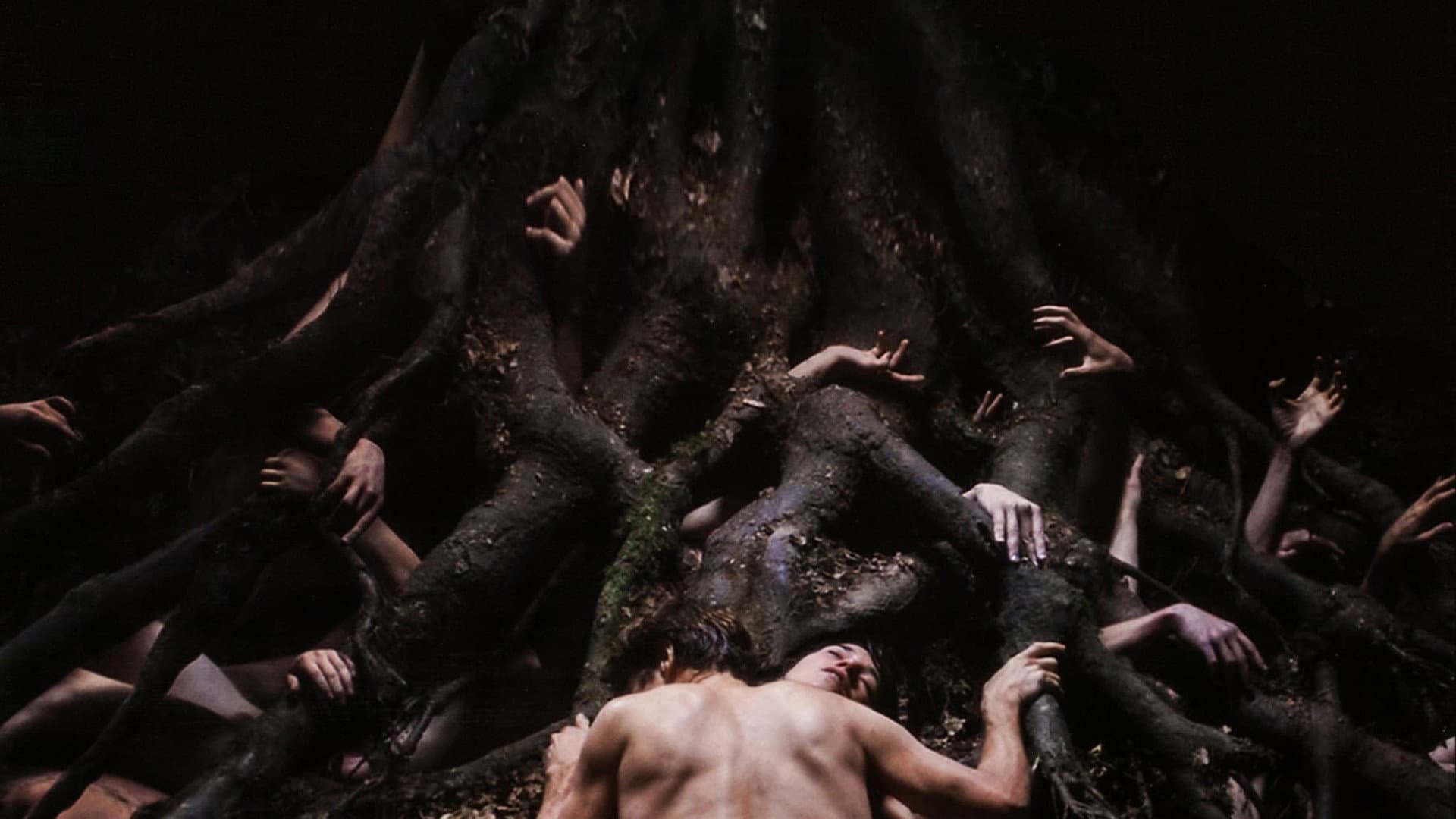 Antichrist - immagine