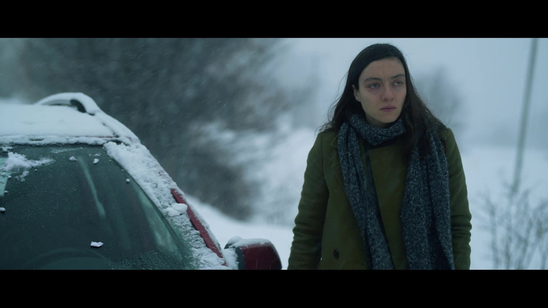 Kar ve Ayı - immagine