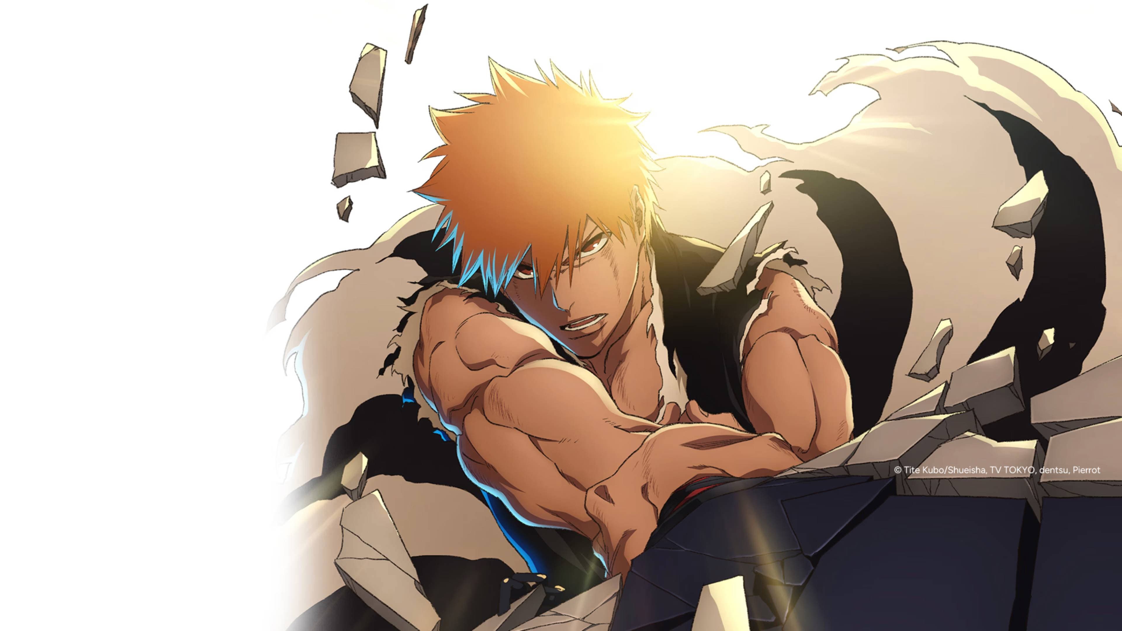 Bleach: Thousand-Year Blood War - The Calamity - immagine