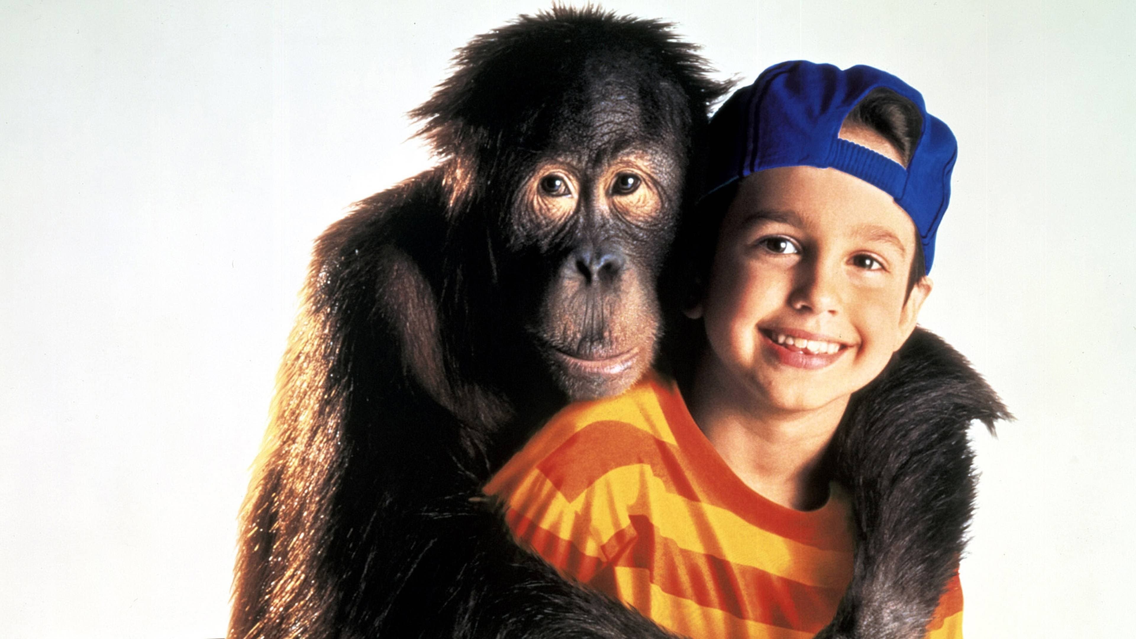 Dunston - Licenza di ridere - immagine