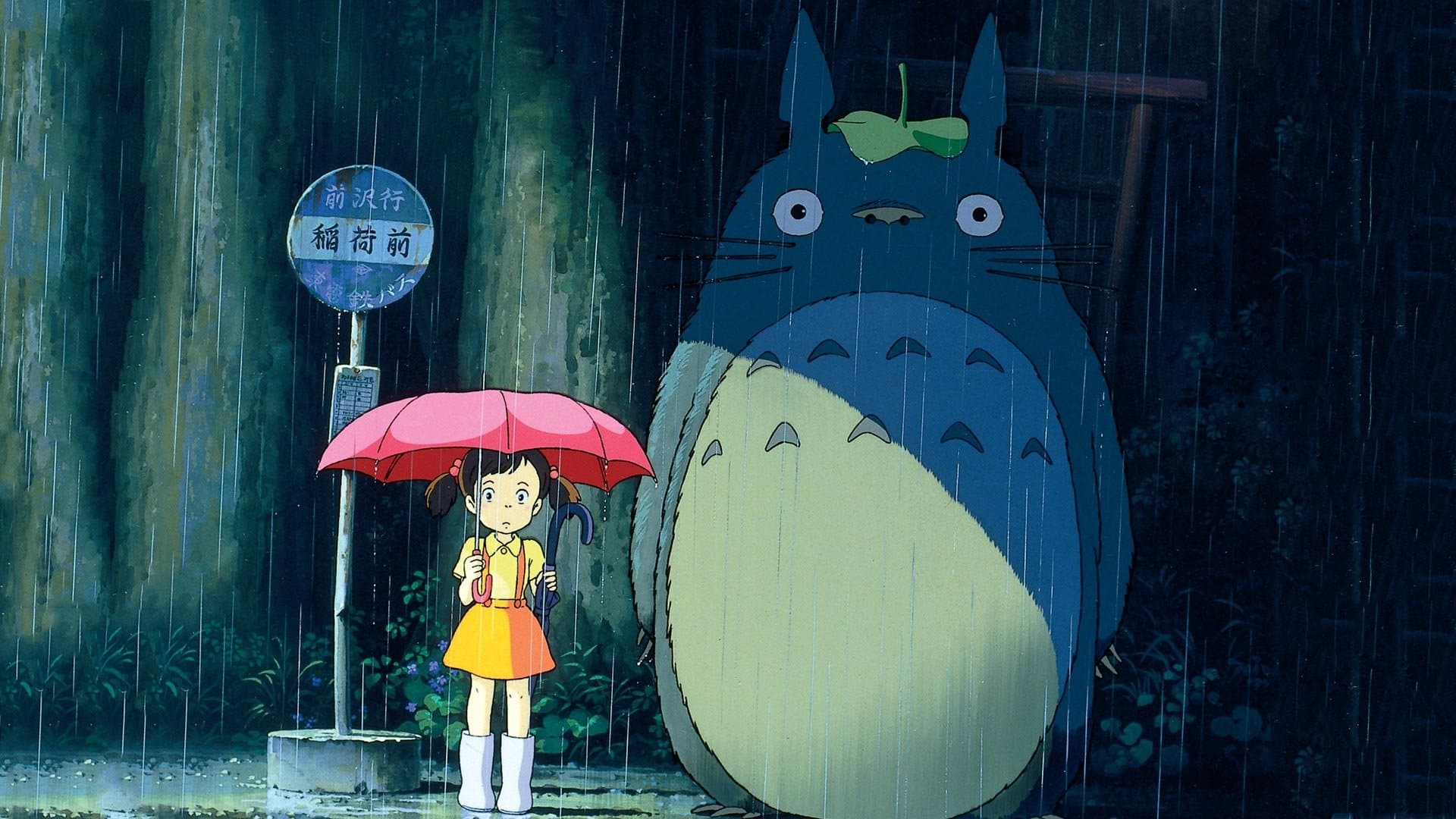 Il mio vicino Totoro - immagine