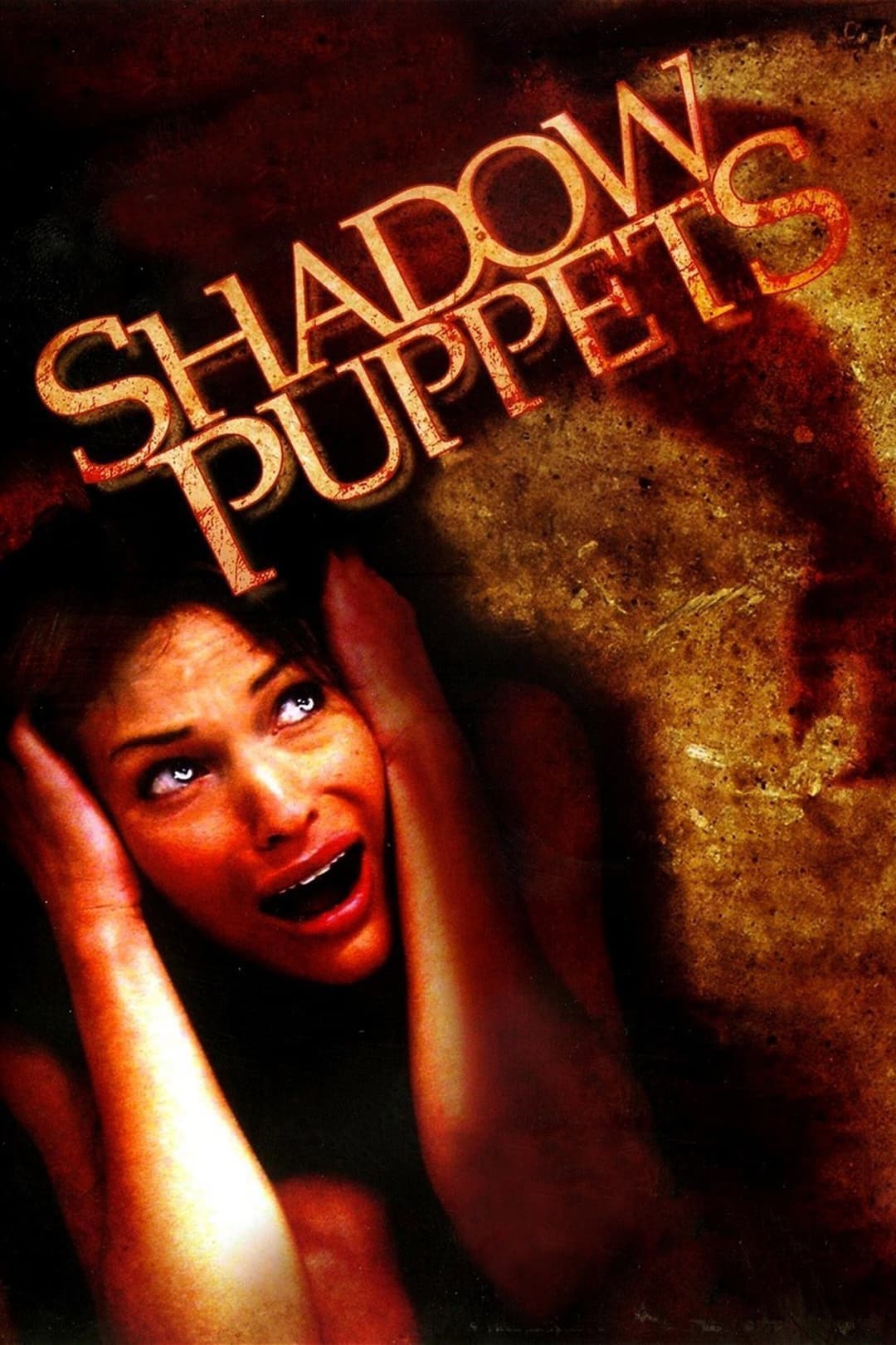 Poster di Shadow Puppets