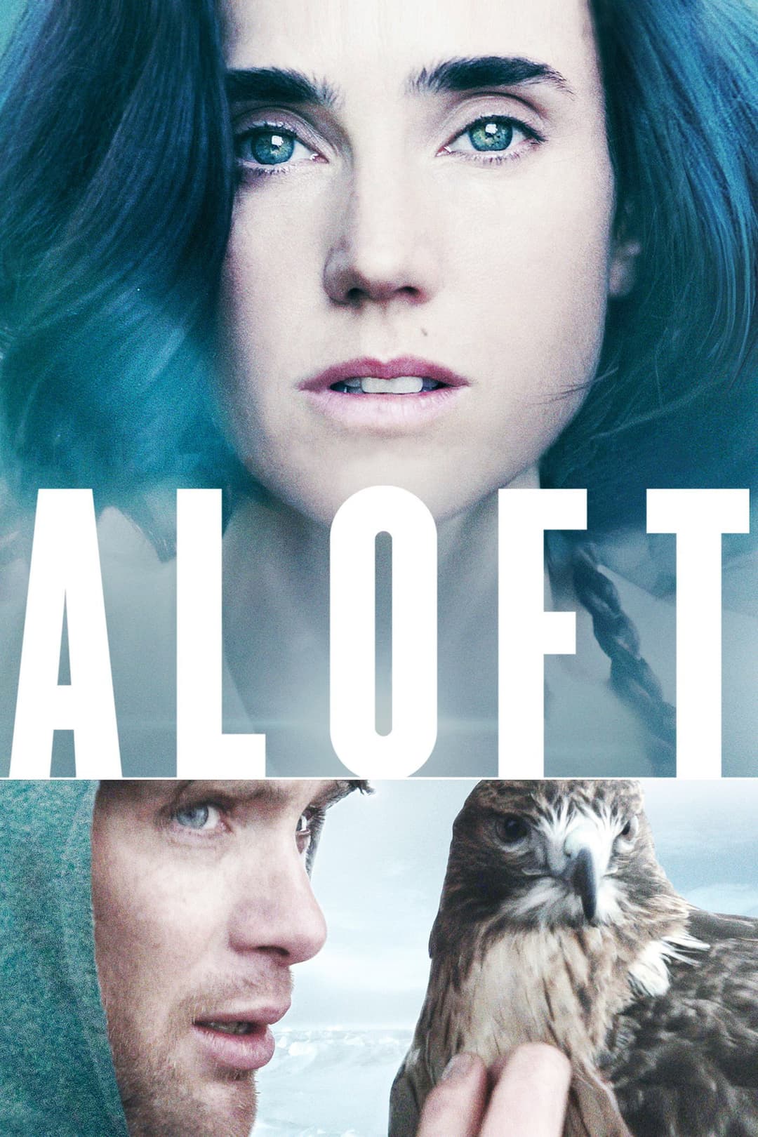 Poster di Il volo del falco