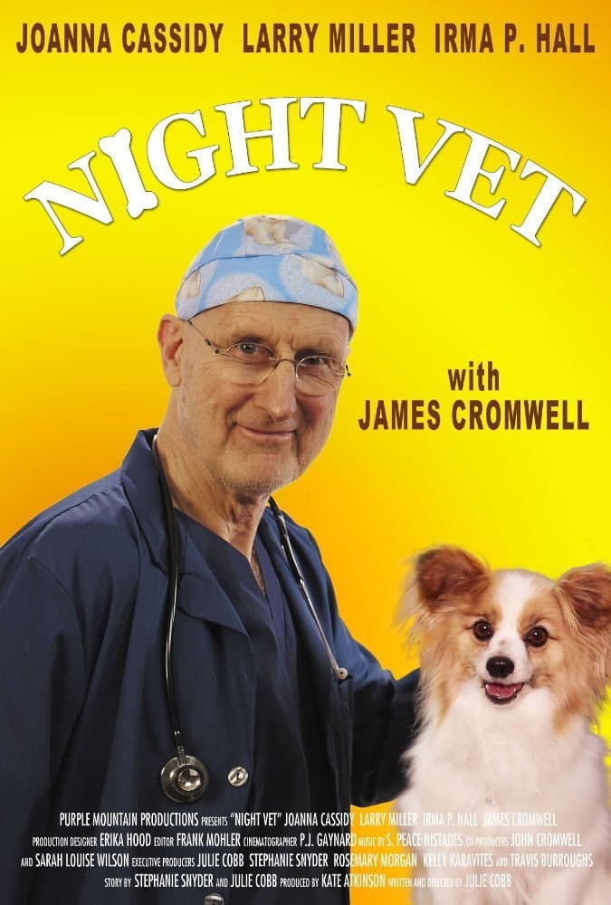 Poster di Night Vet