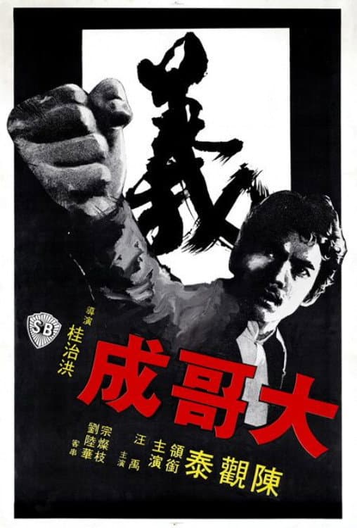 Poster di Big Brother Cheng