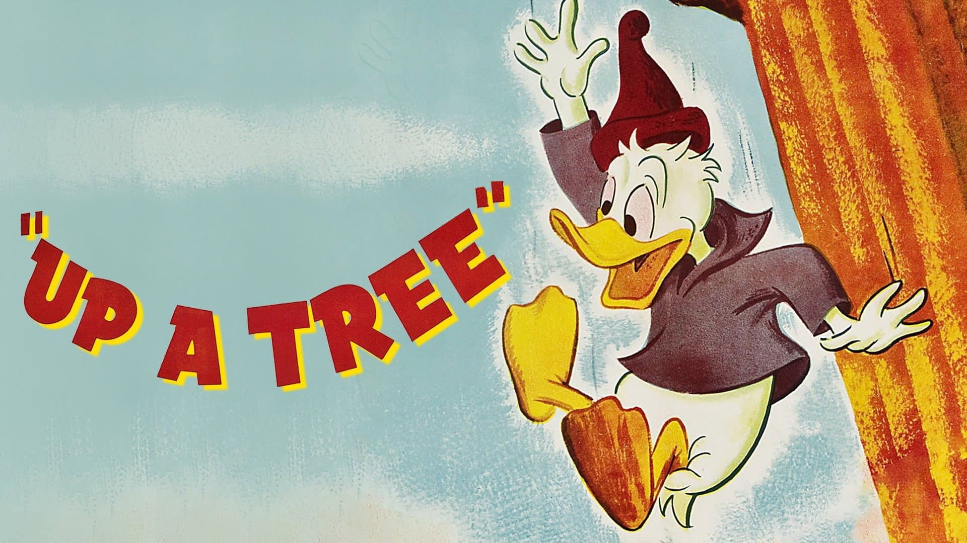 In cima all'albero - immagine