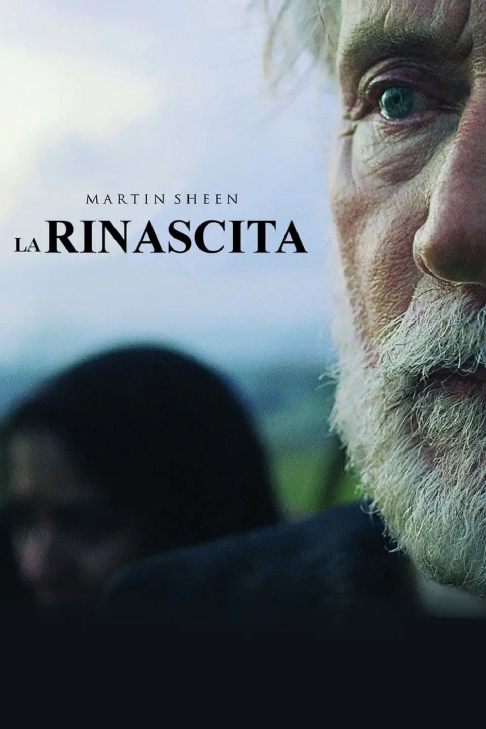 Poster di La rinascita
