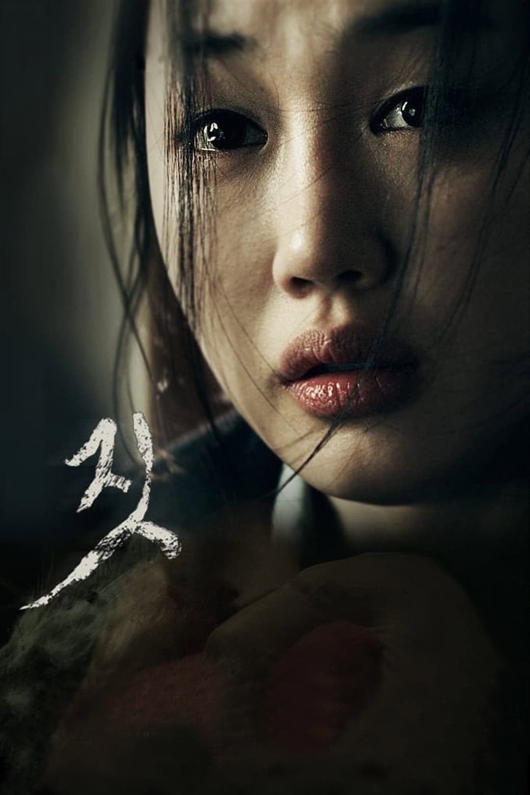 Poster di 짓