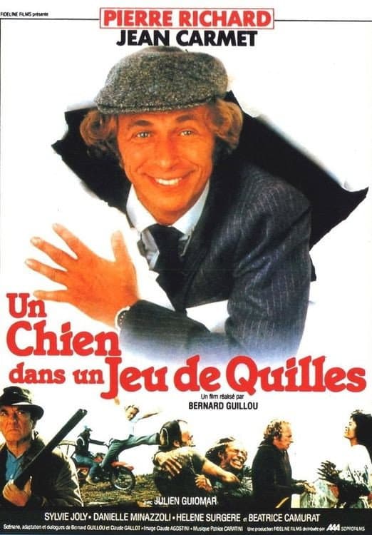 Poster di Un chien dans un jeu de quilles