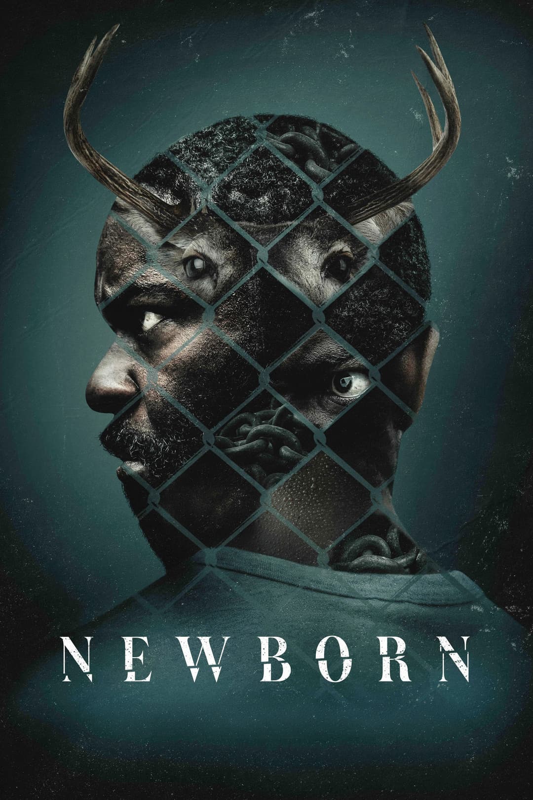 Poster di Newborn
