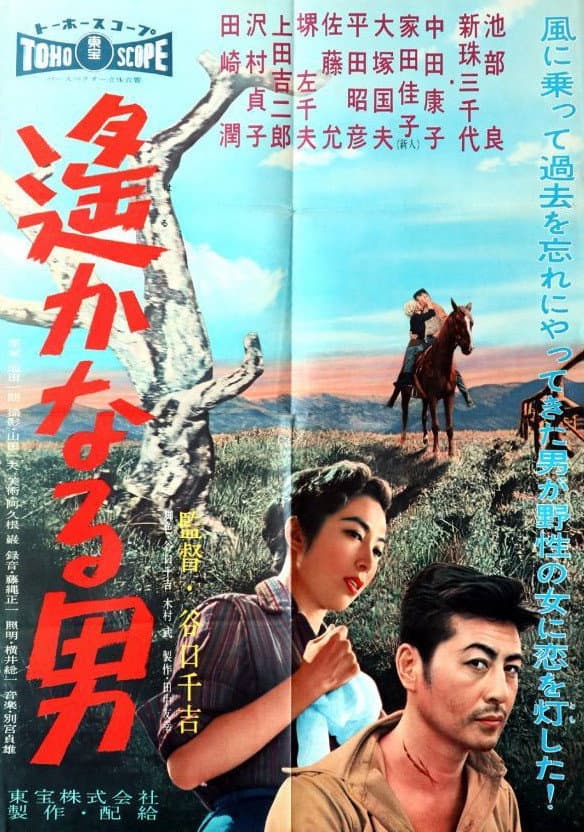 Poster di 遙かなる男