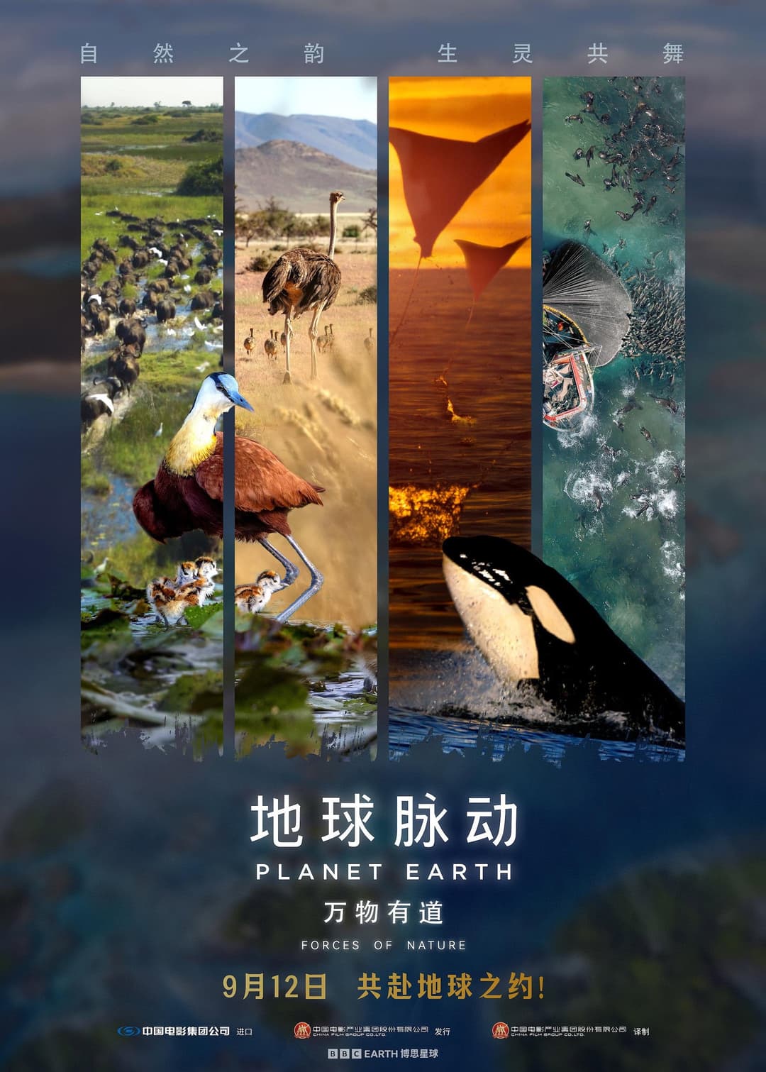 Poster di Planet Earth: Forces of Nature