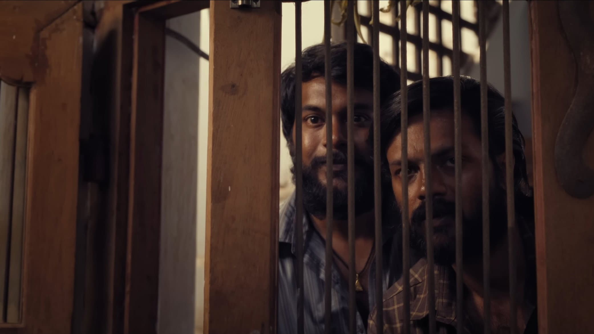 டோரதி - immagine