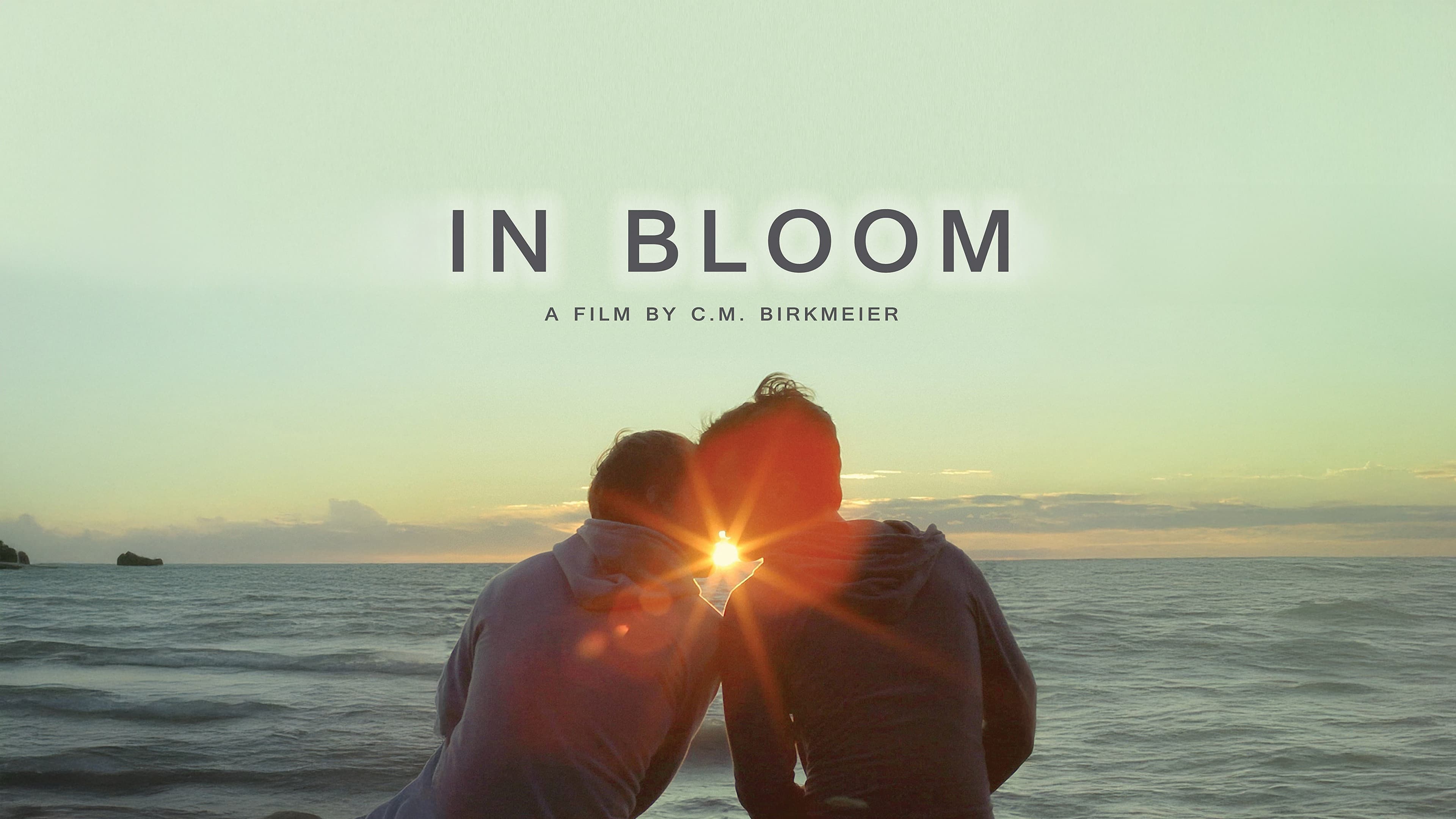 In Bloom - immagine