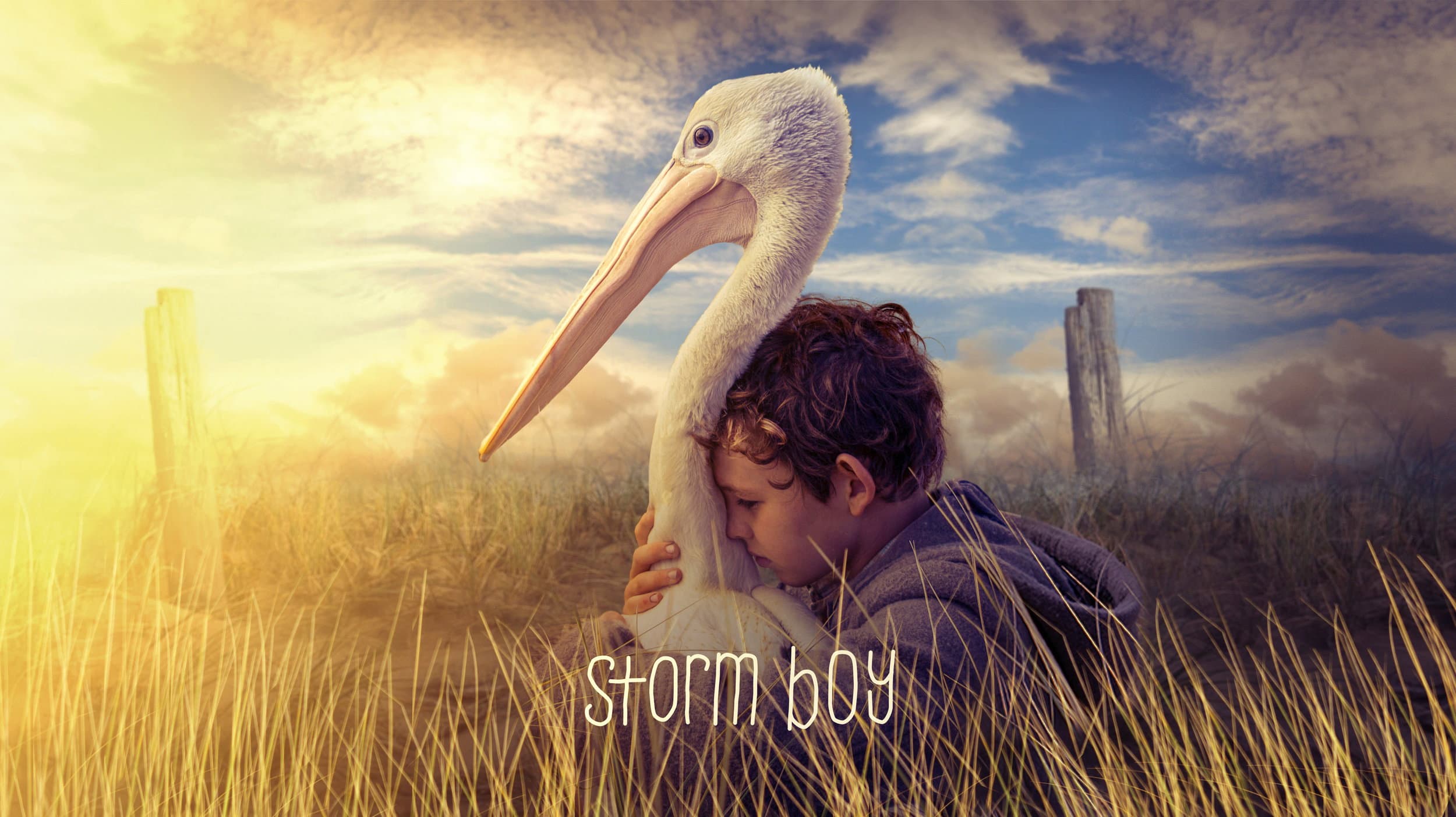 Storm Boy - Il ragazzo che sapeva volare - immagine