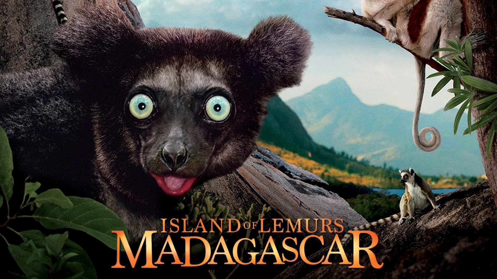 Madagascar: L'isola dei Lemuri - immagine