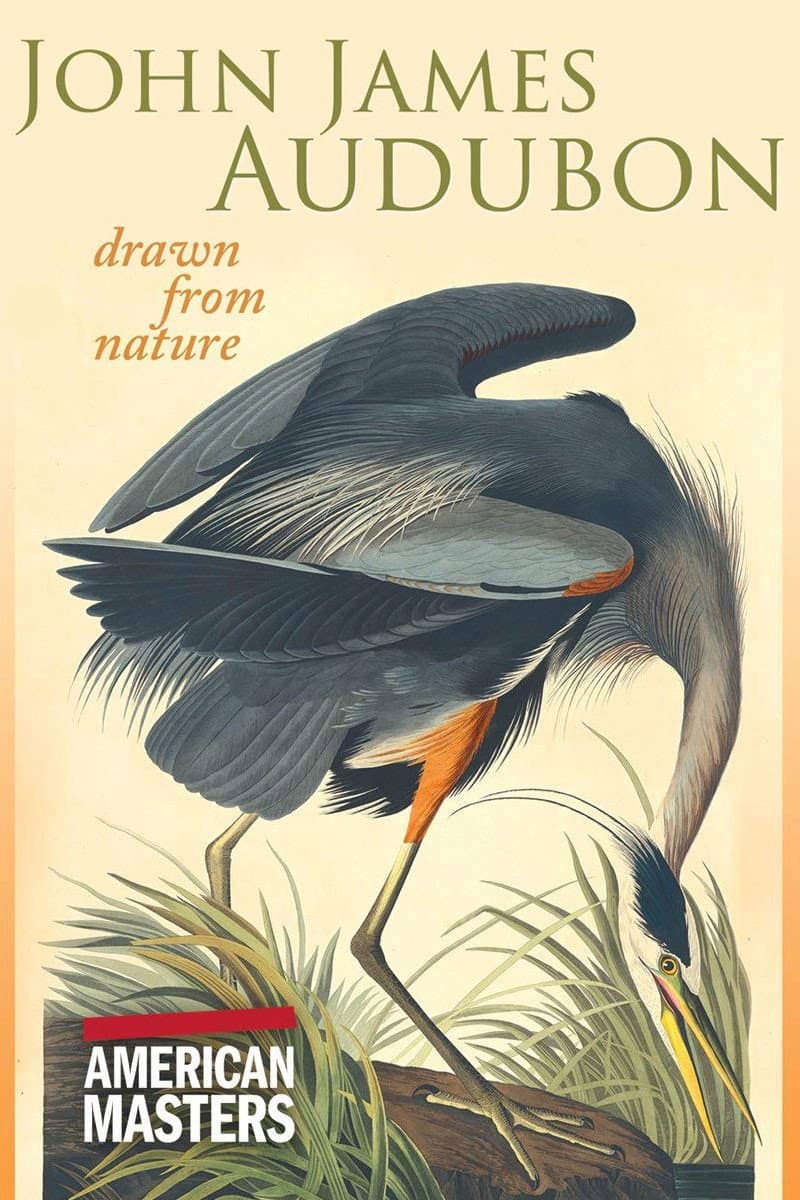 Poster di John James Audubon: Drawn from Nature