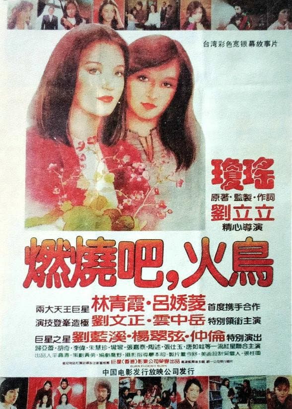 Poster di 燃燒吧，火鳥