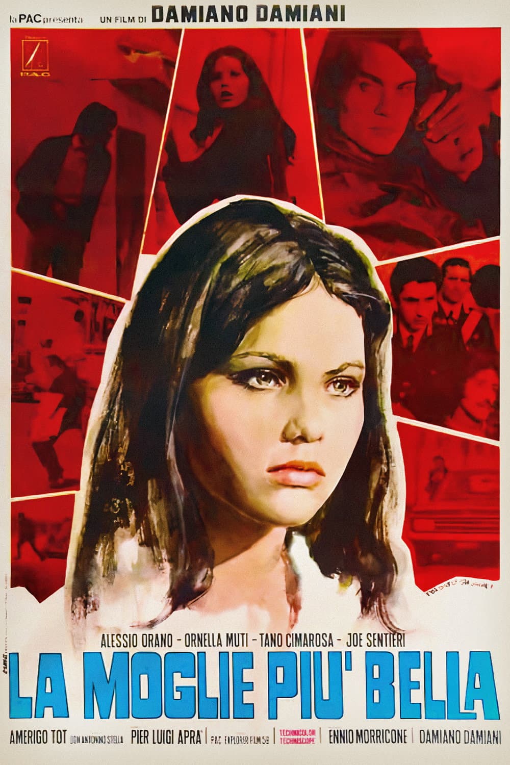 Poster di La moglie più bella