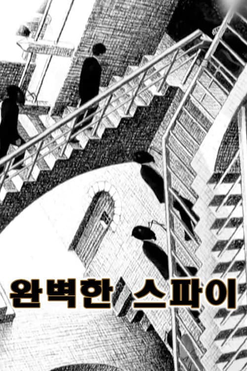 Poster di 완벽한 스파이