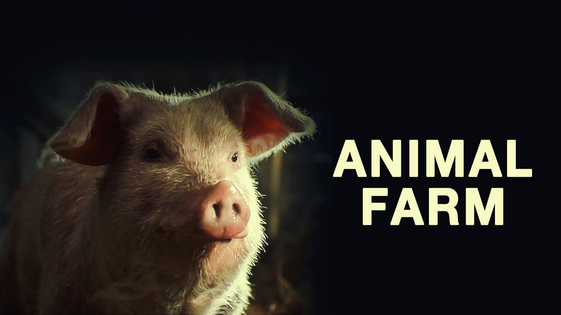 La fattoria degli animali - immagine