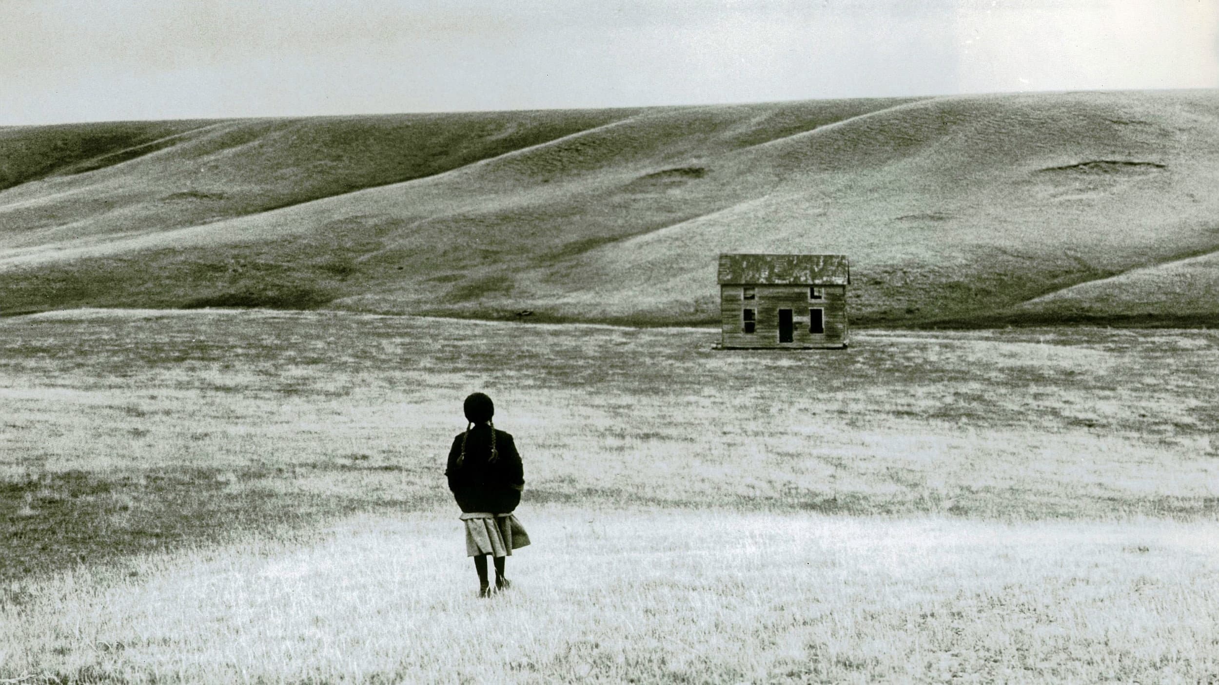 Heartland - immagine