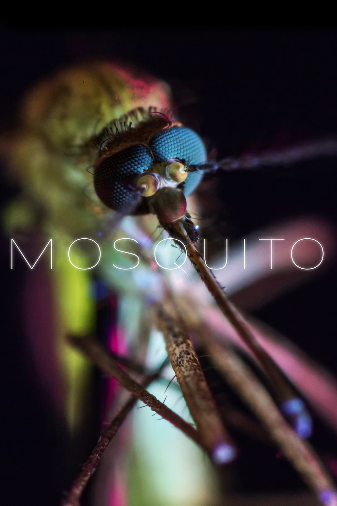 Poster di Mosquito