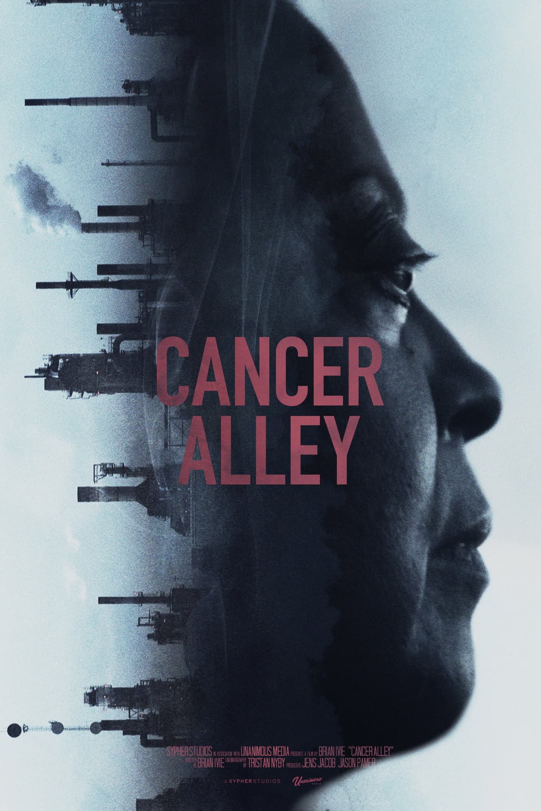 Poster di Cancer Alley
