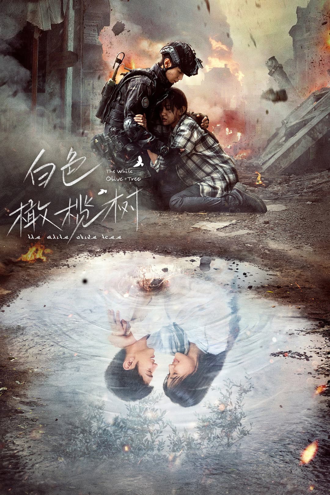 Poster di 白色橄榄树