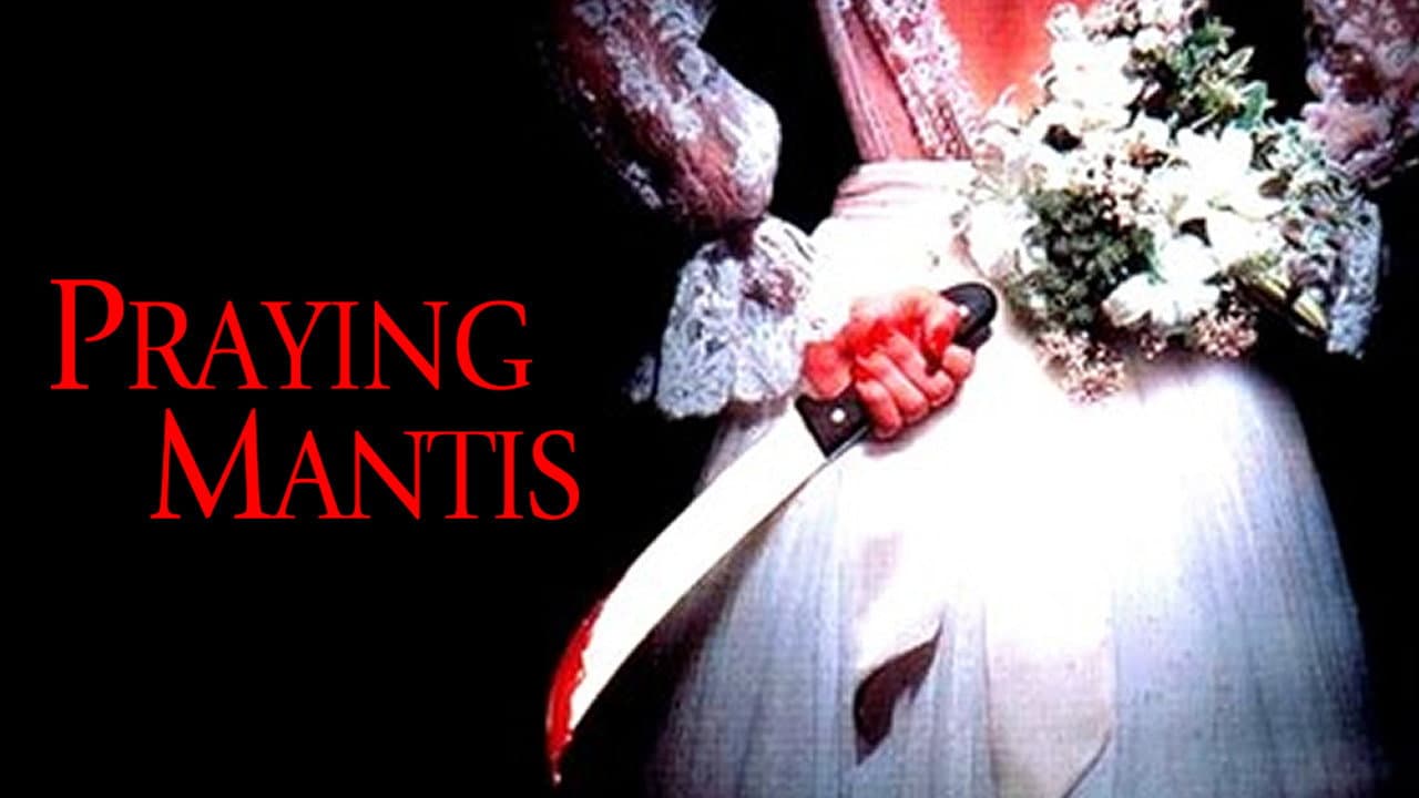 Praying Mantis - immagine