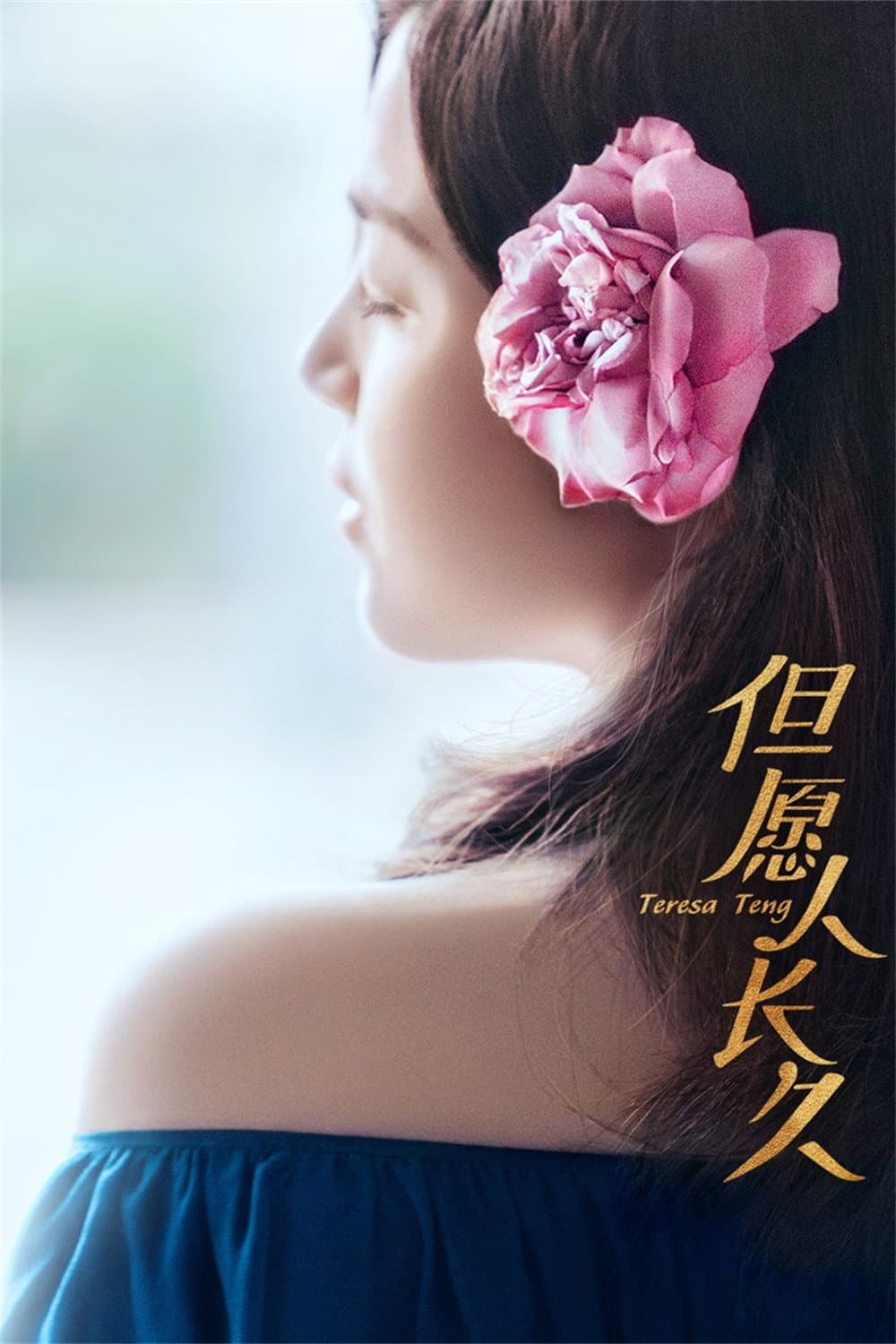 Poster di 但愿人长久