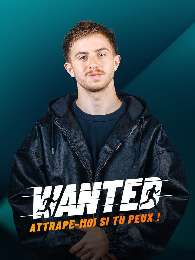Poster di Wanted : Attrape-moi si tu peux !