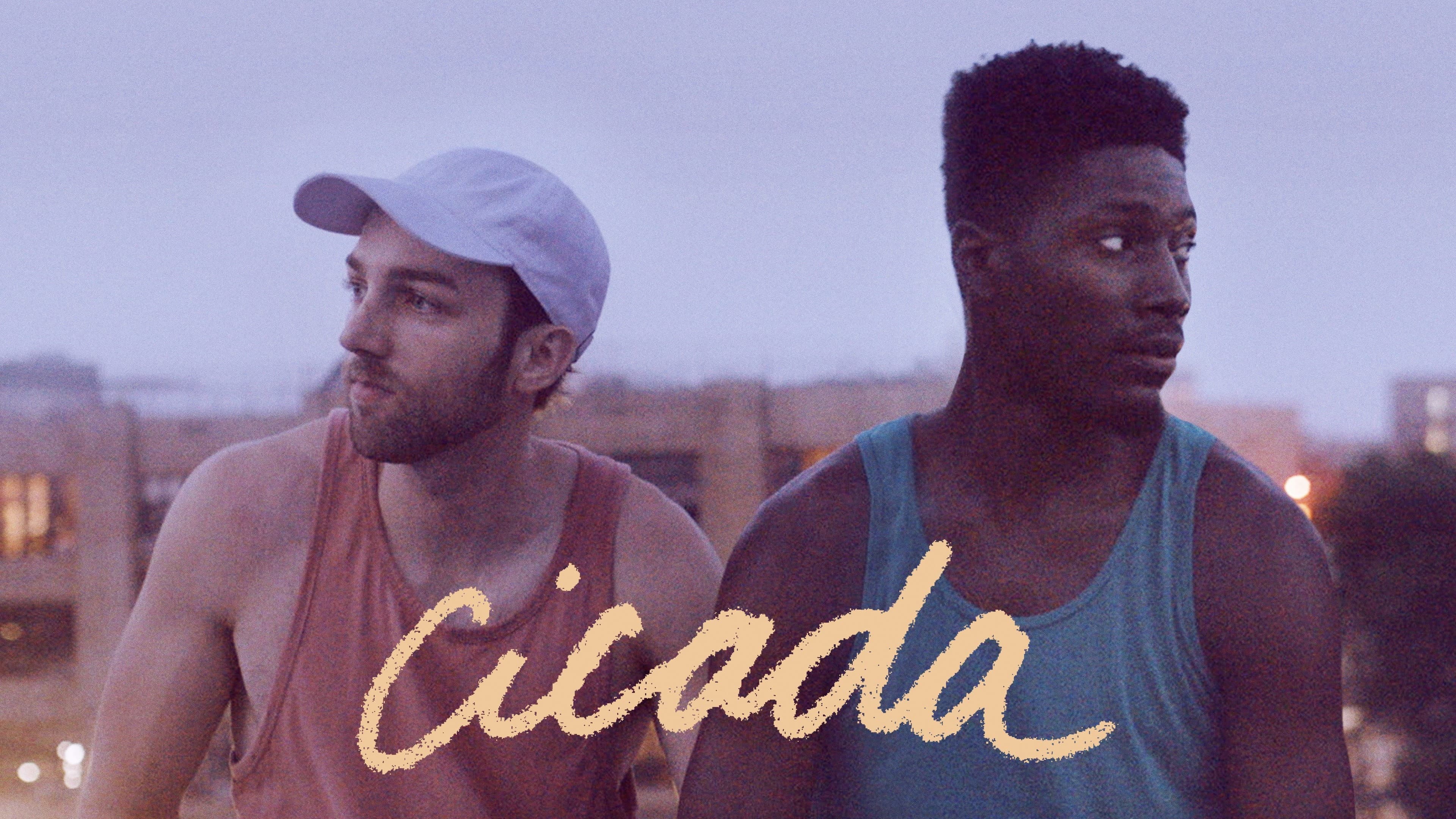 Cicada - immagine