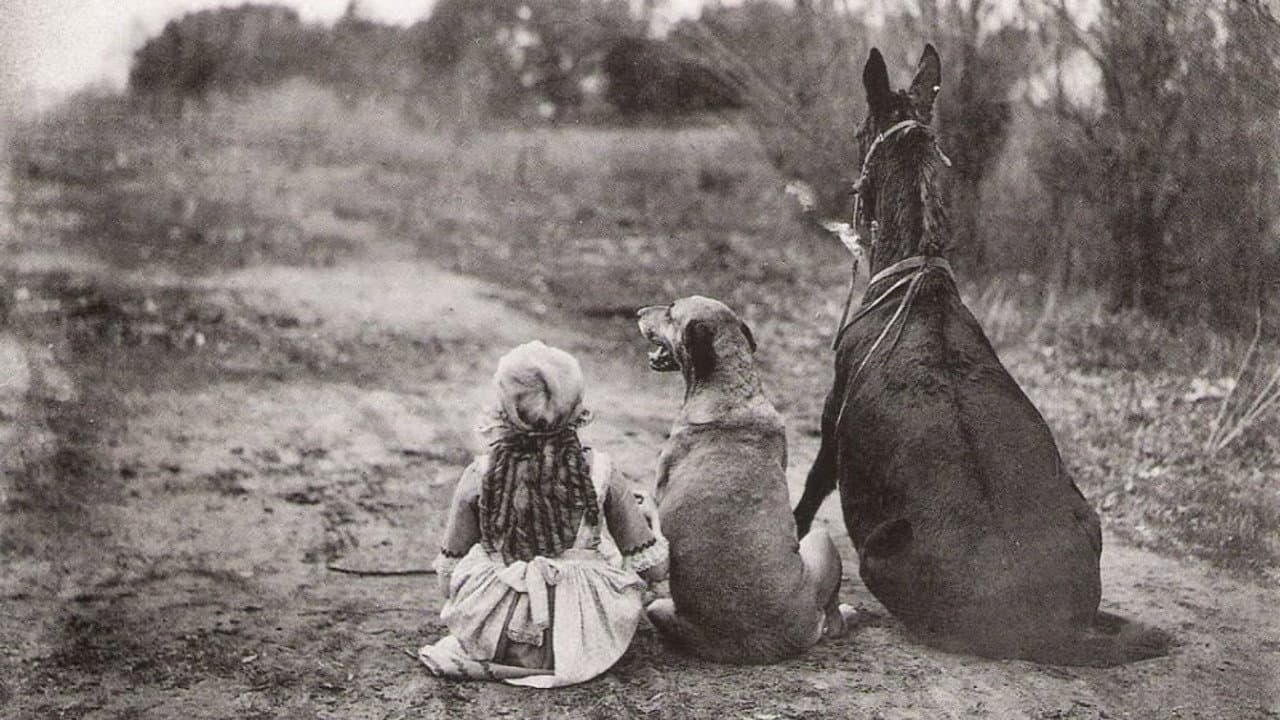 Through the Back Door - immagine