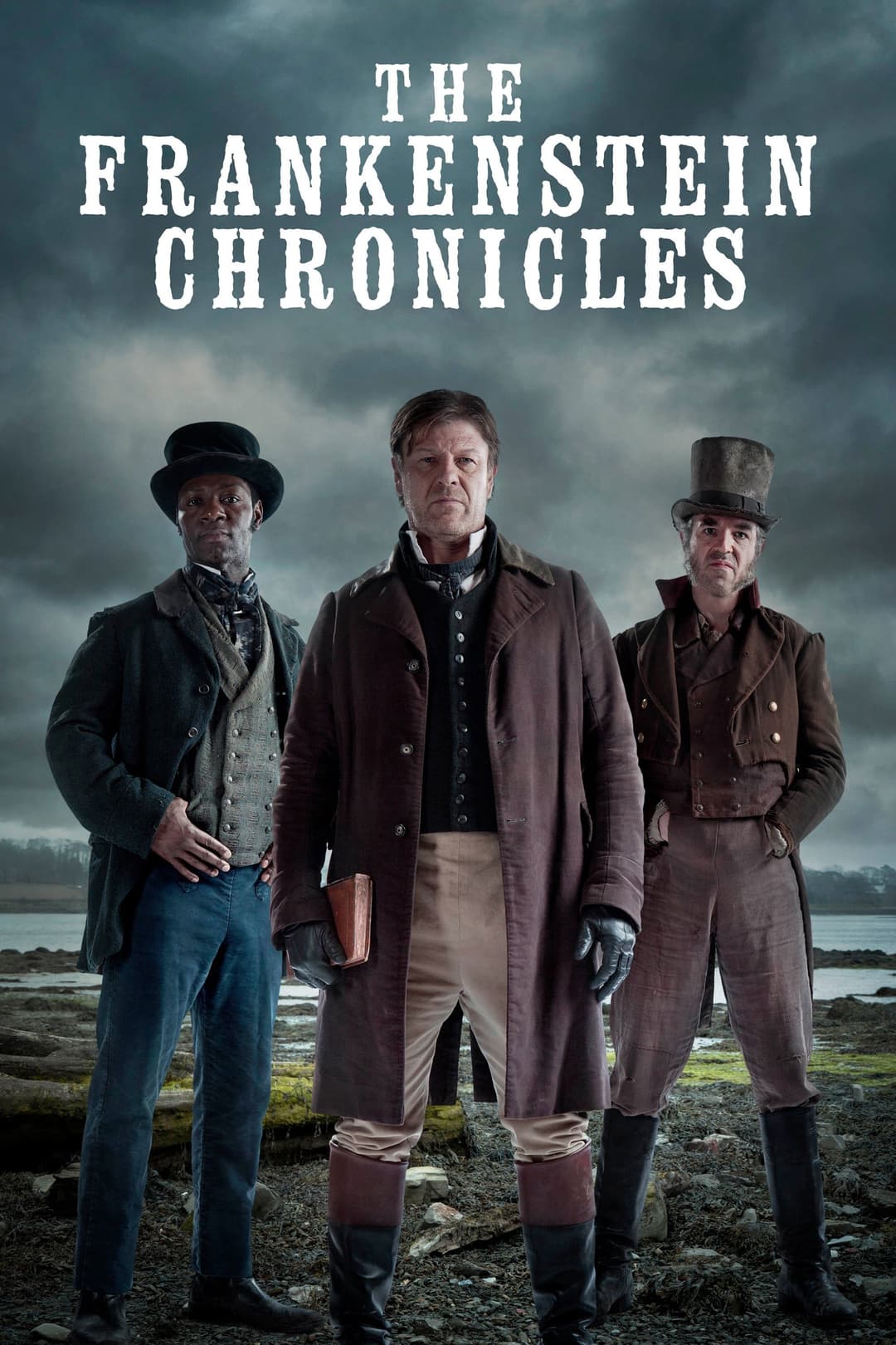 Poster di The Frankenstein Chronicles