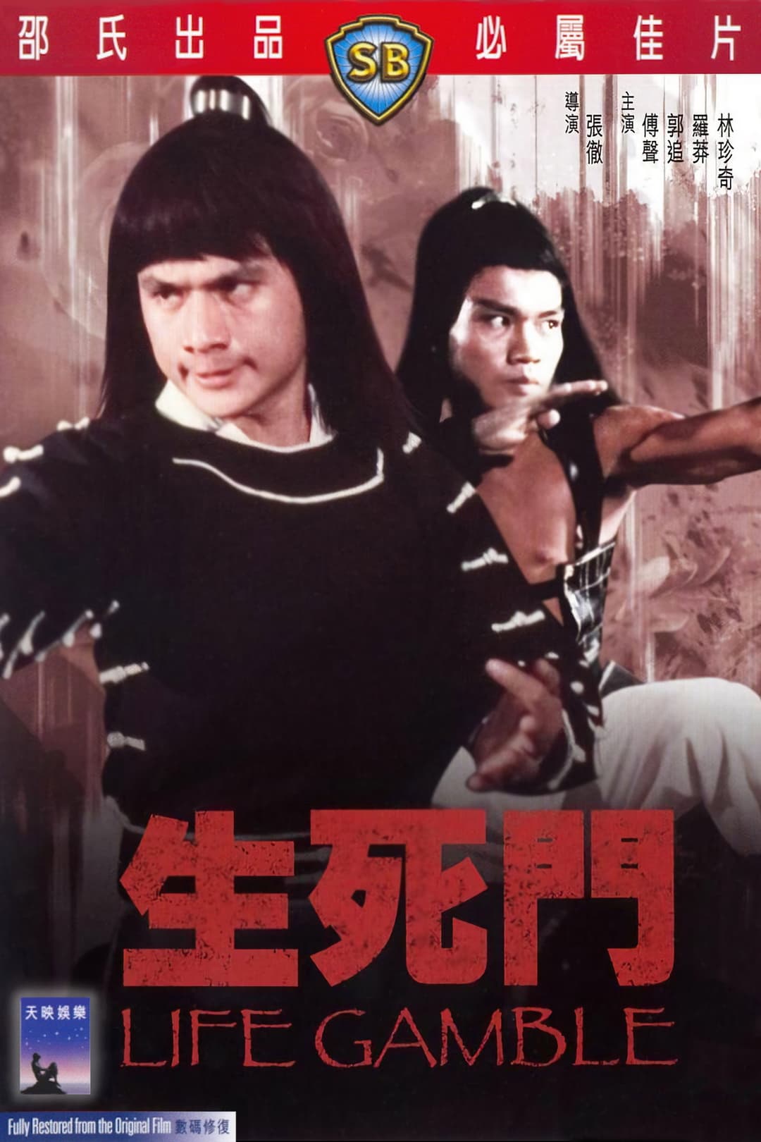 Poster di 生死門