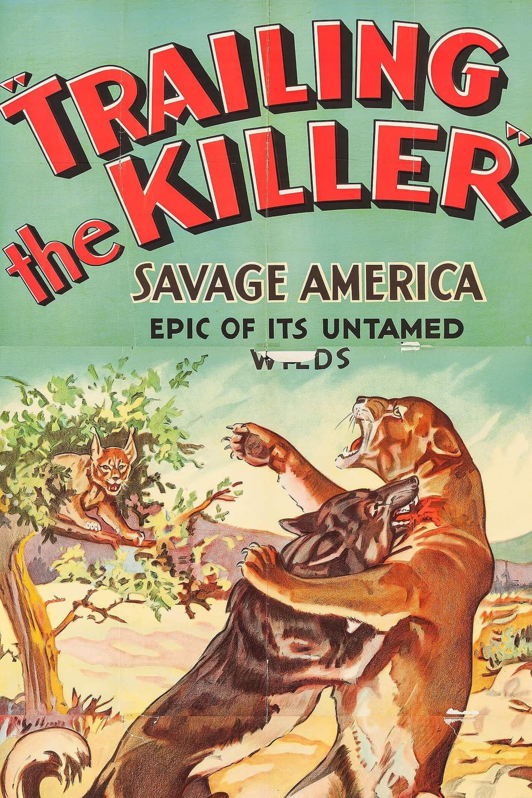 Poster di Trailing the Killer