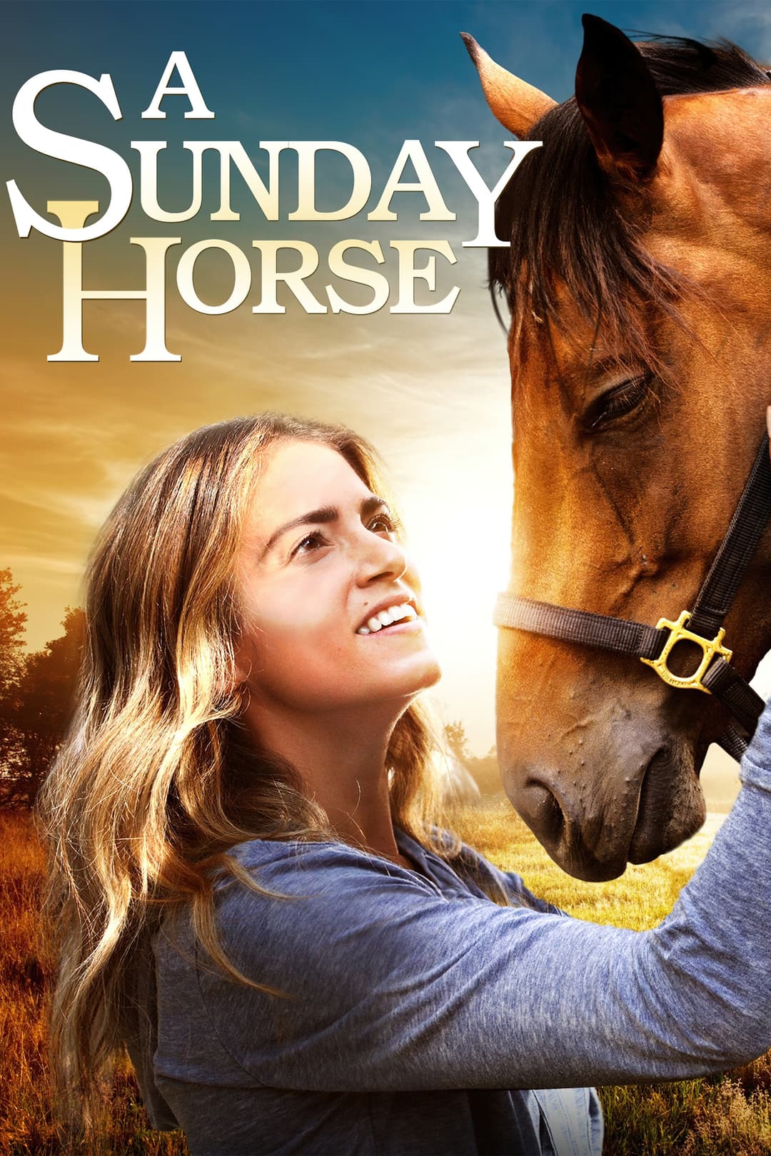 Poster di A Sunday Horse