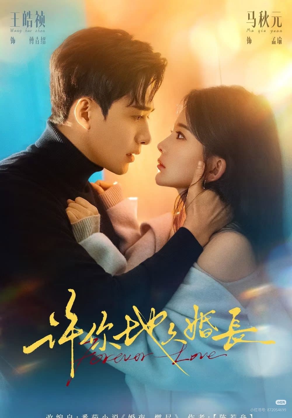 Poster di 许你地久婚长