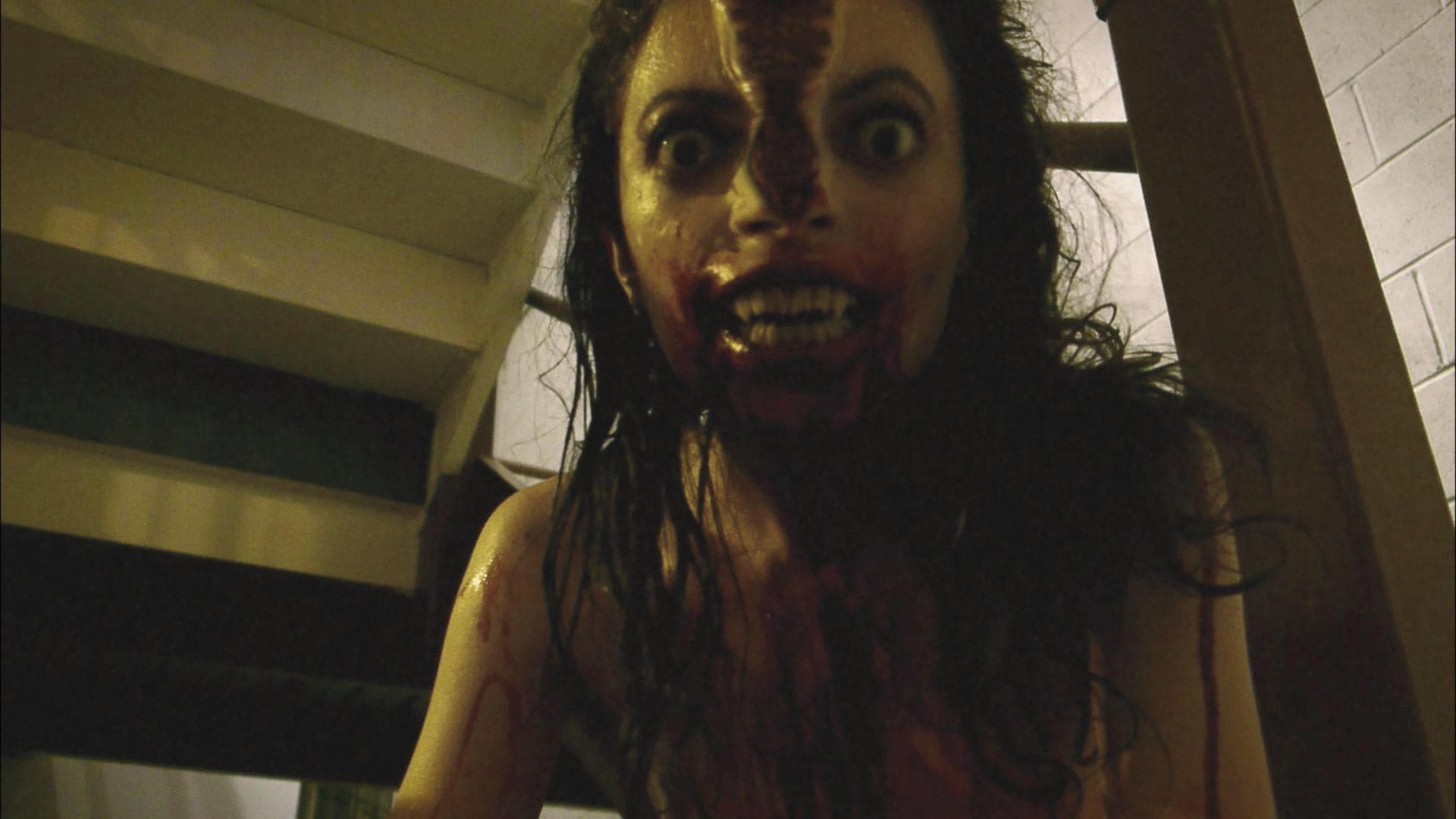 V/H/S - immagine