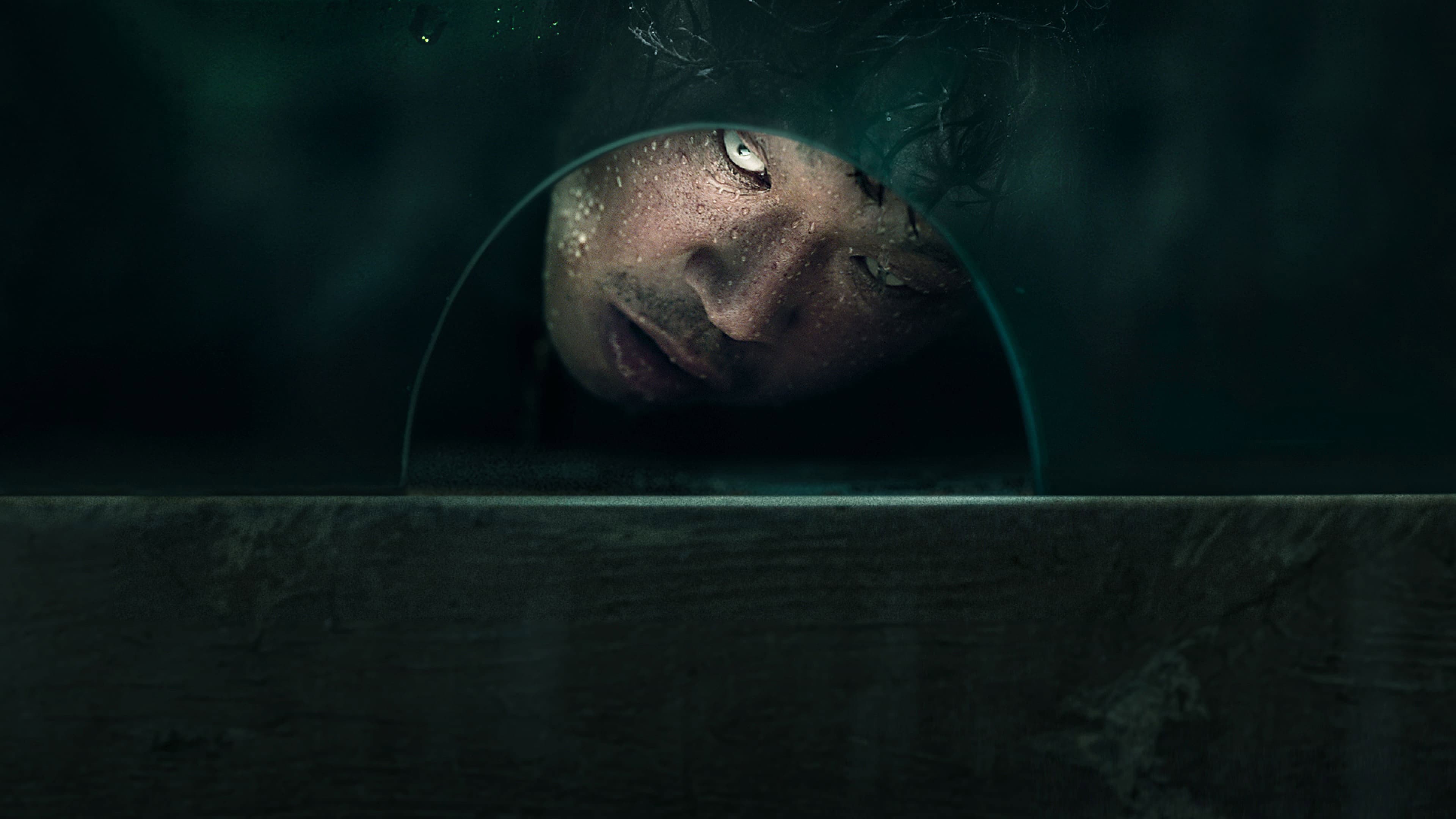 The 8th night - immagine
