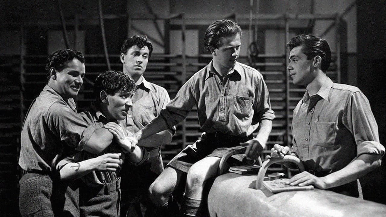 Boys in Brown - immagine