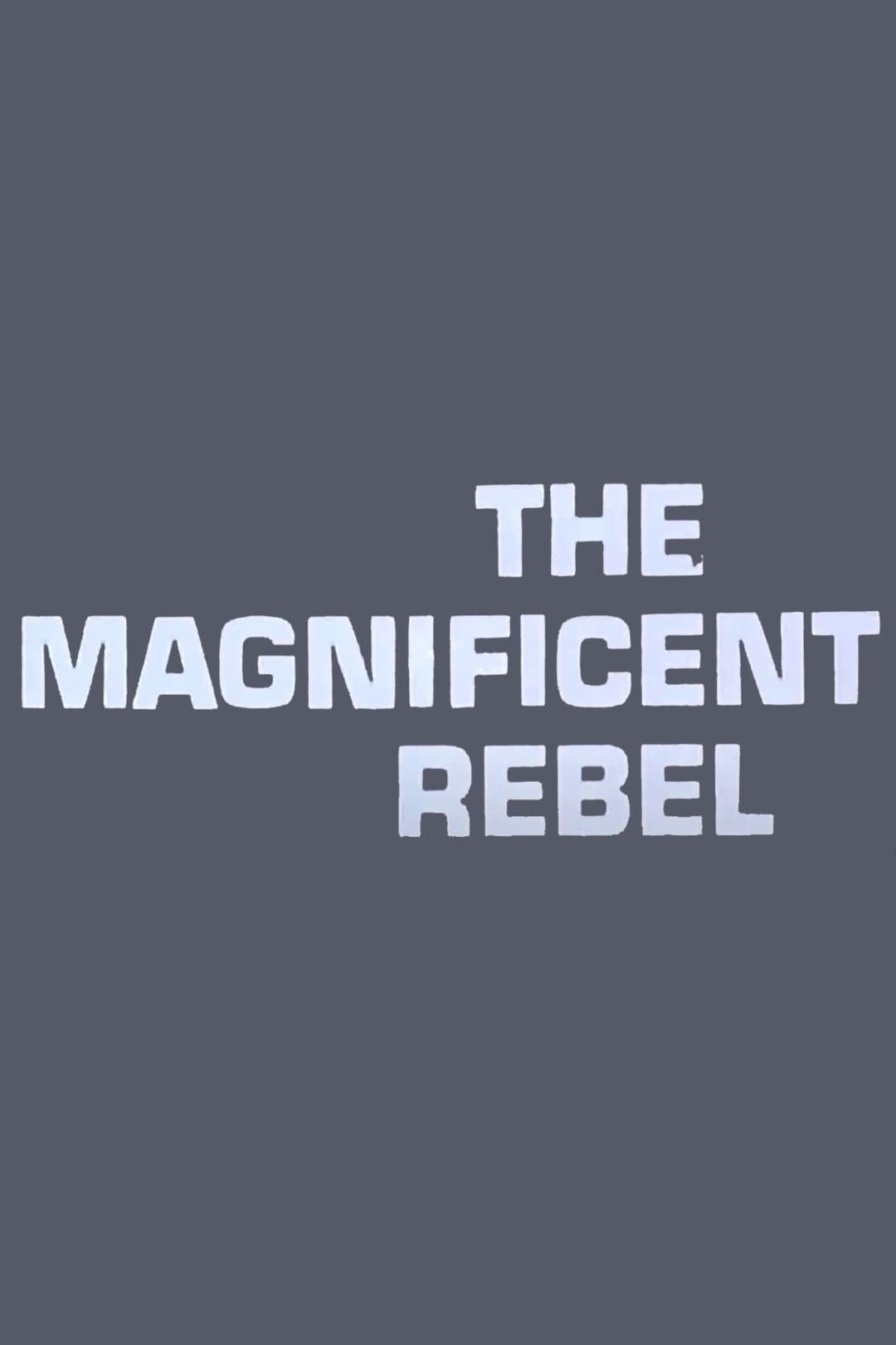 Poster di Il magnifico ribelle