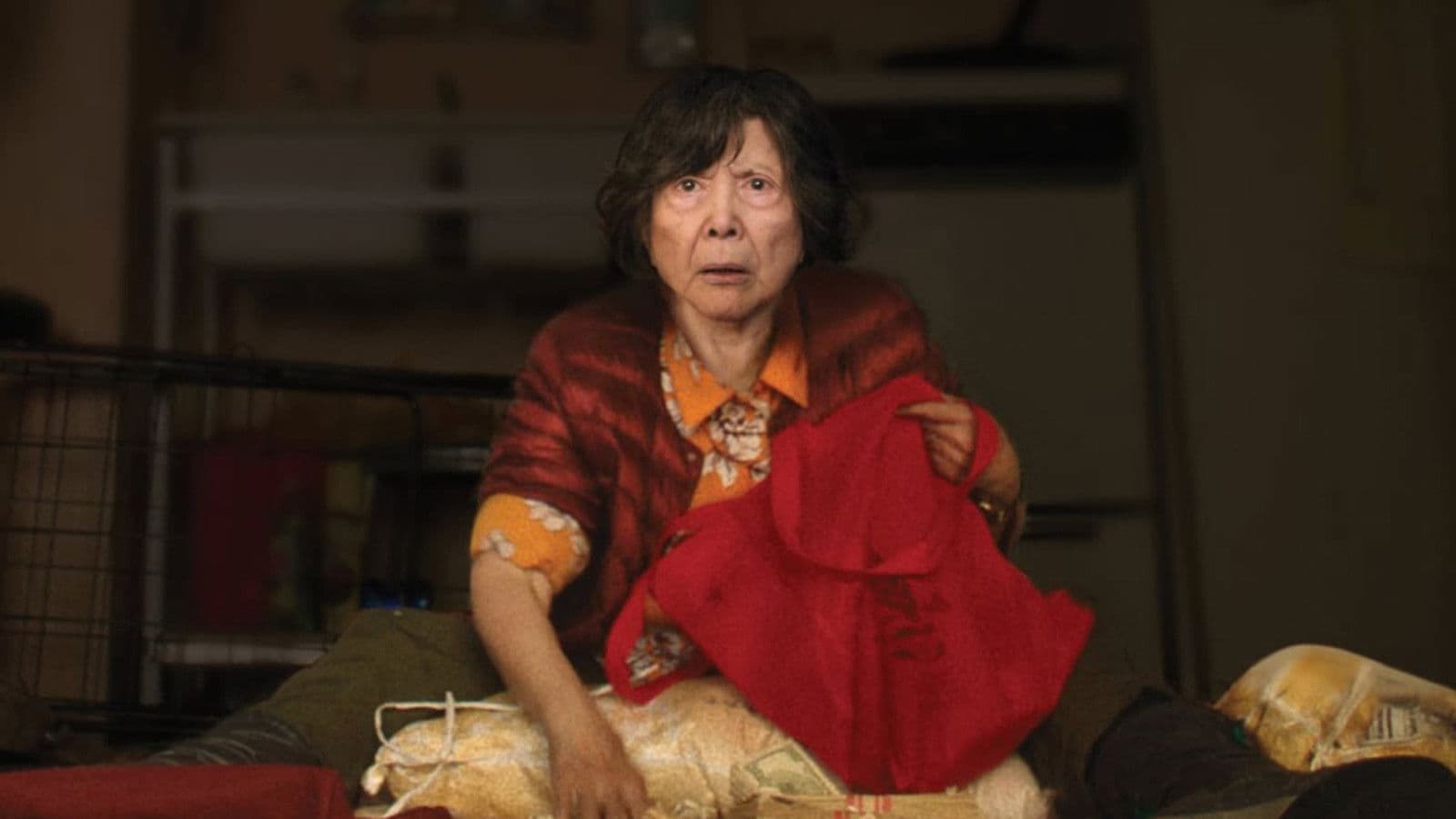 Lucky Grandma - immagine