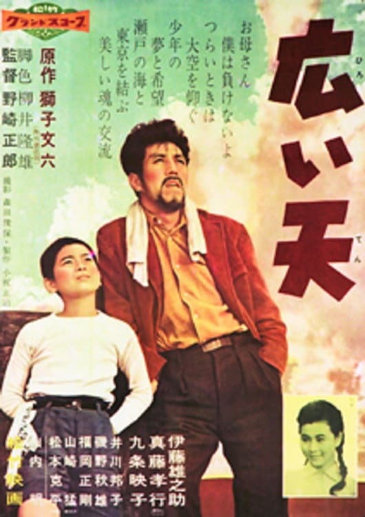 Poster di 広い天