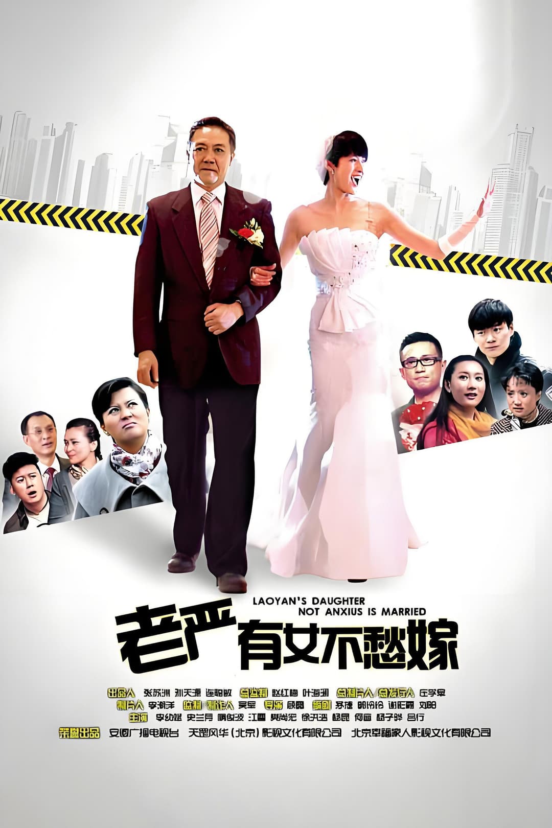 Poster di 老严有女不愁嫁