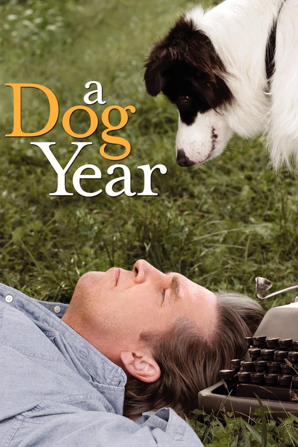 Poster di Pet Therapy - Un cane per amico