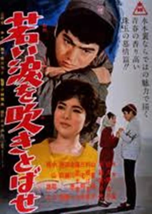 Poster di 若い涙を吹きとばせ