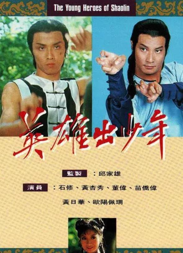 Poster di 英雄出少年