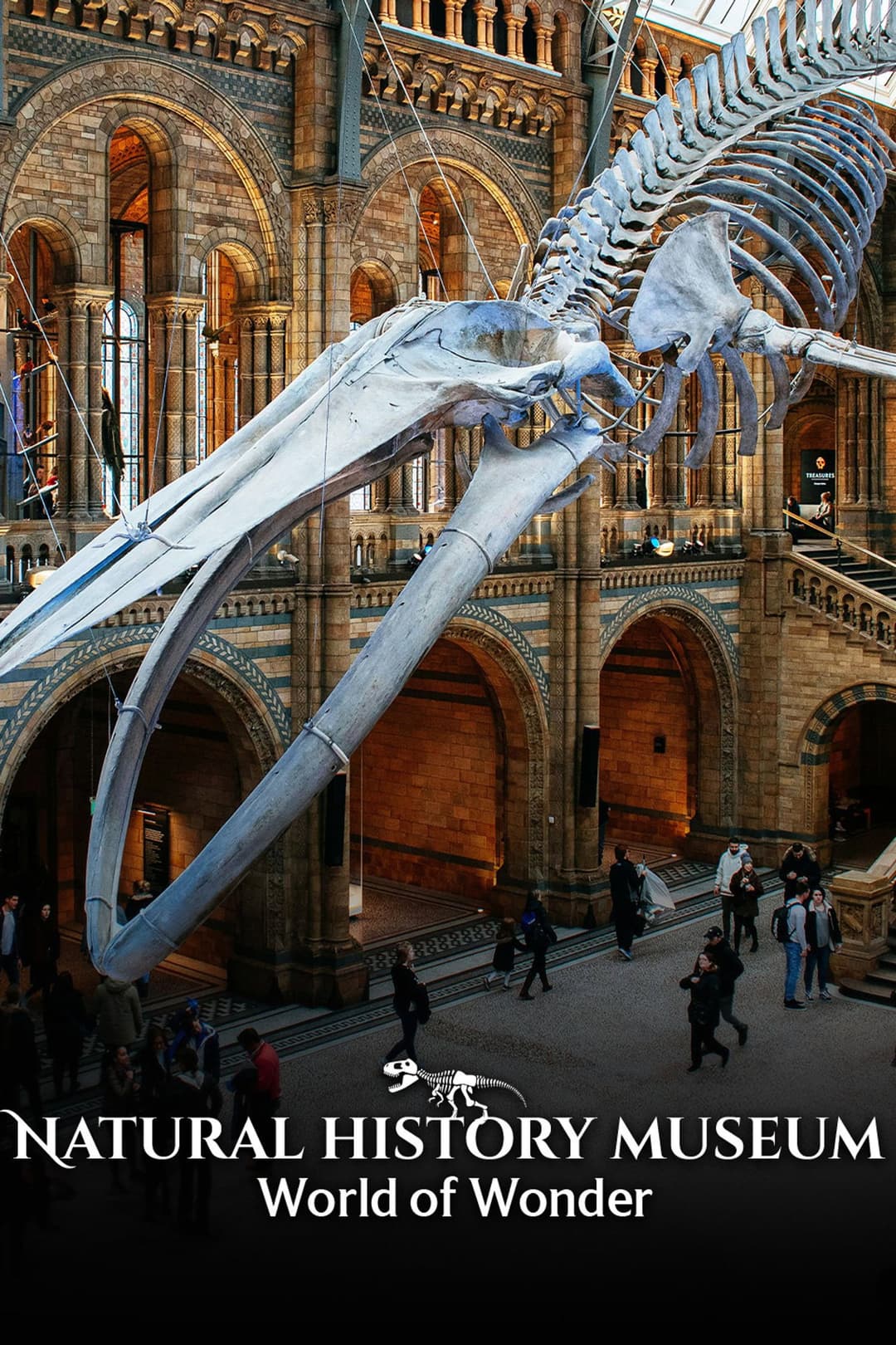 Poster di Natural History Museum: World of Wonder